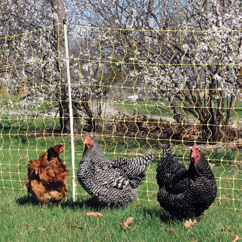 Vista 5 de Premier 1 Red eléctrica portátil para pollo con postes incorporados, 48 pulgadas de alto x 82 pies de largo, valla amarilla para aves de corral