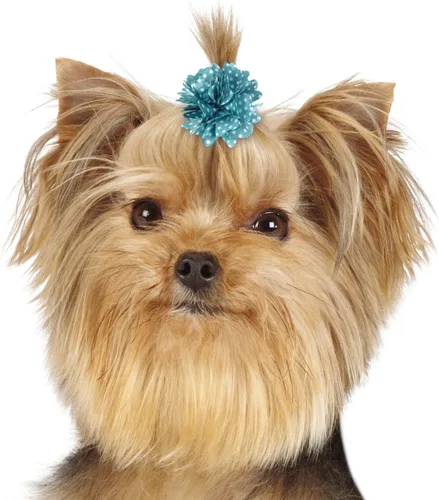 Vista 6 de Aria Dot Rose - Lazos de 48 piezas para perros
