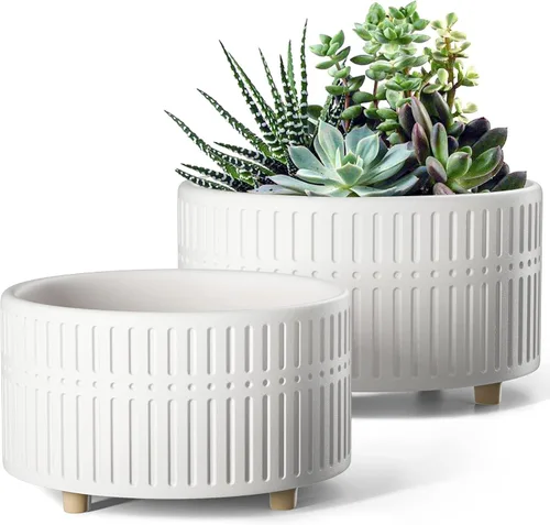 Vista 9 de LE TAUCI Macetas para suculentas, macetas de cerámica de 6.5+8 pulgadas para plantas de interior, macetas redondas poco profundas para suculentas