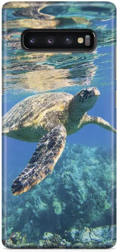 Vista 17 de Inspired Cases - Compatible con iPhone 8 Plus - Funda protectora con textura 3D para Apple iPhone 8 Plus - Tortuga marina submarina