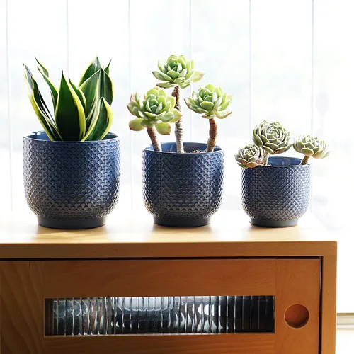 Vista 6 de Macetas de cerámica de 4 + 5 + 6 pulgadas para plantas de interior, macetas para plantas suculentas, maceta de orquídea con orificio de drenaje Azul