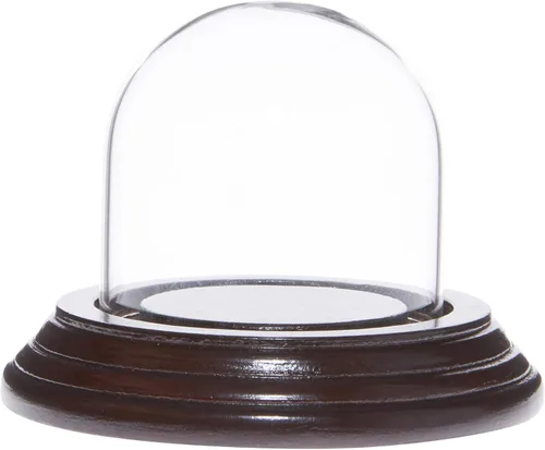 Vista 4 de Plymor Mini cúpula de cristal de 2 x 2 pulgadas (base de chapa de madera negra)