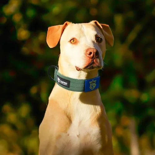 Vista 5 de TSPRO - Collar táctico para perro, hebilla metálica de liberación rápida Verde Básico - Estilo Parche