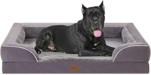 Vista 189 de Comfort Expression - Cama ortopédica para perros medianos, 28 x 19 pulgadas, cama impermeable y de apoyo de espuma con cojines removibles, sofá