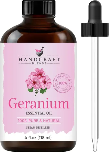 Vista 24 de Handcraft Blends Aceite Esencial de Albahaca – 1 Fl Oz – 100% Puro y Natural – Aceite Esencial de Grado Premium para Difusor y Aromaterapia, Piel