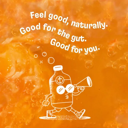 Vista 5 de Health-Ade Kombucha Tea - Bebida orgánica, té fermentado con probióticos vivos, ácidos desintoxicantes, apoya la salud intestinal, sin OMG, vegano