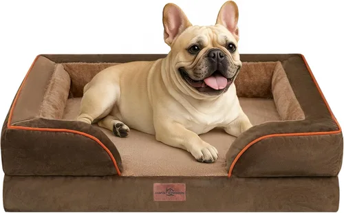 Vista 35 de Comfort Expression - Cama ortopédica para perros medianos, 28 x 19 pulgadas, cama impermeable y de apoyo de espuma con cojines removibles, sofá