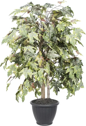 Vista 5 de Vickerman Arbusto artificial de arce esmerilado de 4 pies, recipiente de plástico marrón.