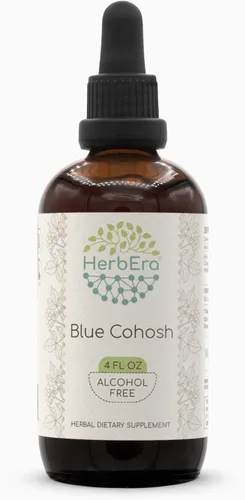 Vista 6 de HerbEra Blue Cohosh B60 - Extracto de hierbas sin alcohol, tintura de cohosh azul superconcentrado cultivado responsablemente