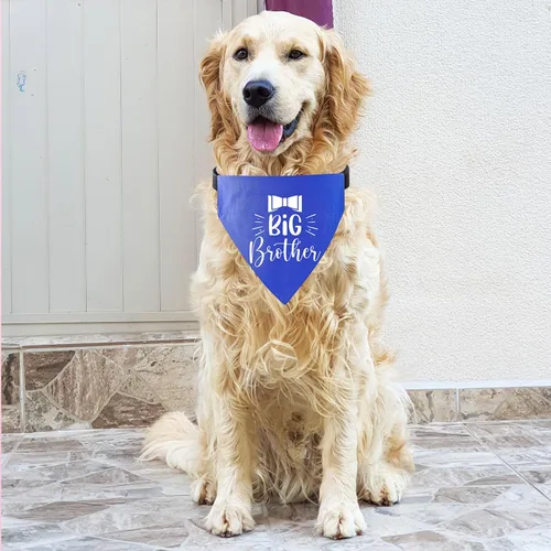 Vista 6 de Sublimación en blanco DIY perro bandana collar con hebilla ajustable, fuerte anillo en D para fácil correa de perro bandana, collar ajustable