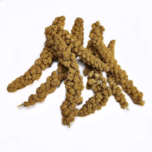 Vista 3 de Kaytee Spray Millet For Birds, 12 Count (Pack of 1) (El embalaje puede variar)