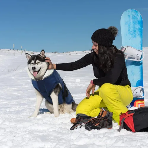 Vista 7 de EMUST Chaqueta de invierno para perro, ropa resistente al viento para el clima frío, abrigos reflectantes para perros, chaqueta cálida