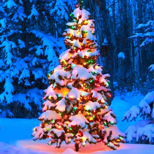Vista 5 de Toodour Tira de luces de Navidad para exteriores, 213 pies, 600 luces LED, temporizador, impermeable, 8 modos de luz de Navidad para exteriores, luz