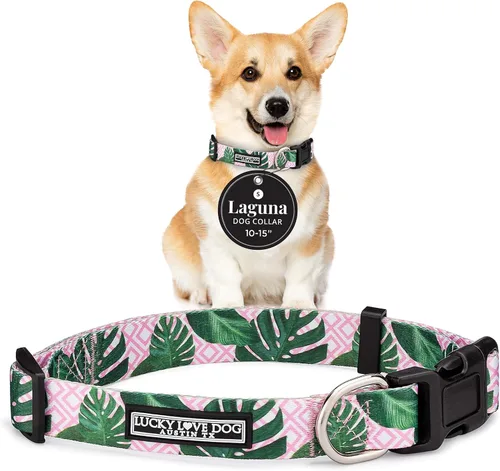 Vista 16 de Lucky Love Dog - Collar para perras pequeñas, diseño Blackbird de estampado alegre con flores de primavera y verano, talla XS Collar Blackbird