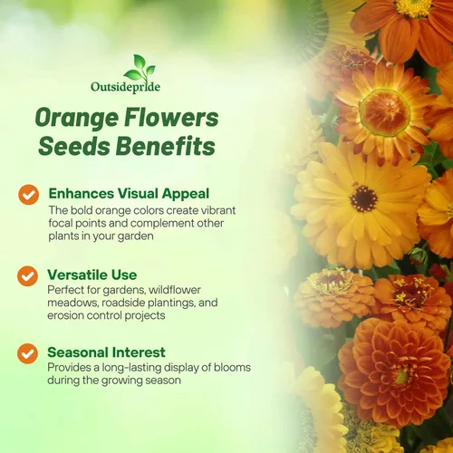Vista 2 de Outsidepride Mezcla anual de semillas de flores silvestres de naranja 5000 semillas para plantar