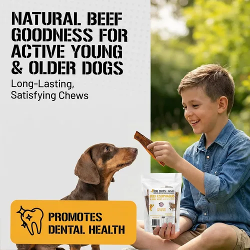 Vista 3 de Dog Chits Masticables de esófago de ternera para perros y cachorros – Todo natural de un solo ingrediente – Alto en proteínas, carne seca baja