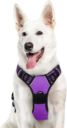 Vista 71 de Eagloo Arnés para perro pequeño, sin tirones, chaleco de servicio con tiras reflectantes y asa de control, ajustable y cómodo para caminar, arnés