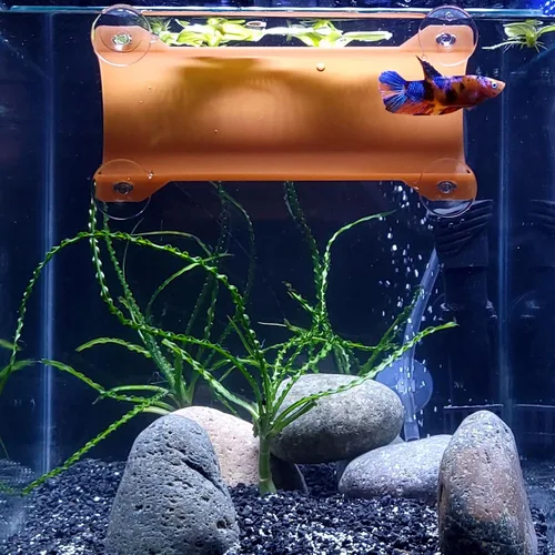 Vista 10 de Marca Betta Tunnel (negro opaco)