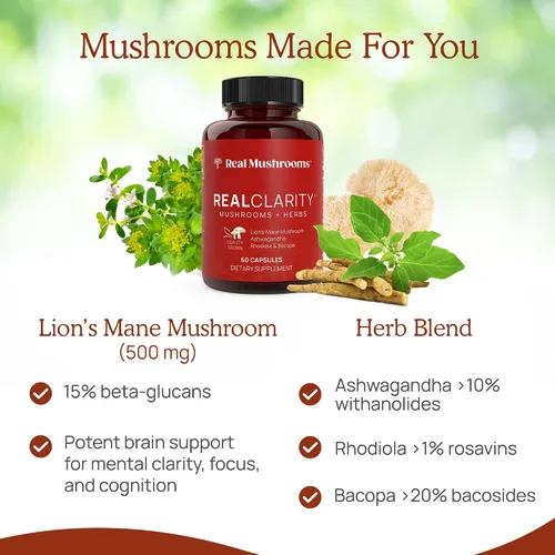 Vista 5 de Real Mushrooms RealClarity (60 unidades) y melena de león (120 unidades) cápsulas con Cordyceps en polvo, suplemento de hongos para claridad mental