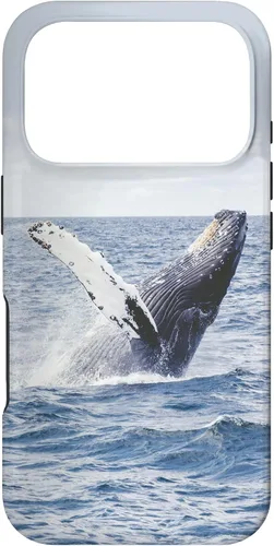 Vista 30 de Whale Case for iPhone 17