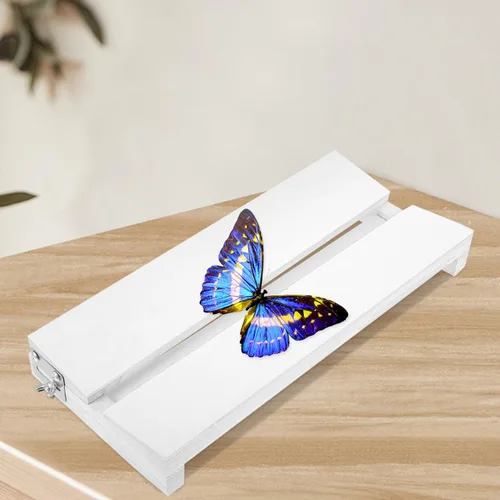 Vista 5 de Yardwe Tabla de extensión de mariposa ajustable de 13.77 x 6.29 pulgadas, herramienta de visualización de espécimen para montaje de insectos