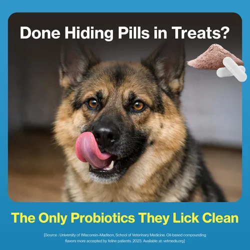 Vista 4 de Doctor By Probióticos exprimibles para perros Salud intestinal Inmunidad Cuidado de la piel y alergia Alivio de la diarrea Soporte digestivo