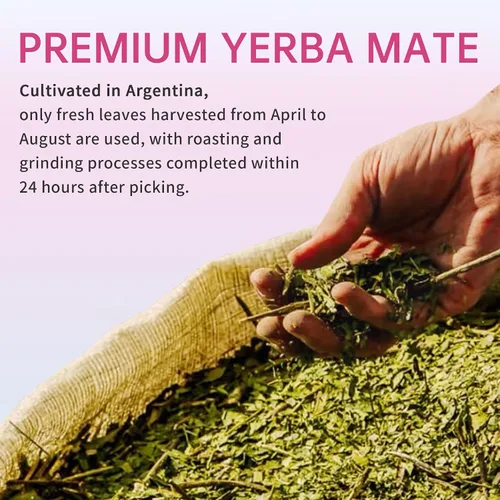 Vista 8 de Zooone Super Yerba Mate Cápsulas - Fórmula de cerebro de yerba con melena de león, salud intestinal, enfoque, memoria, suplemento energético