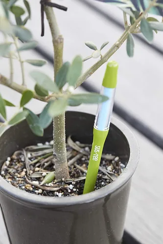 Vista 5 de Sustee Aquameter (2 verdes, medianos) - Medidor de humedad del suelo de plantas, monitor, sonda, indicador - Lo mejor para plantas en maceta