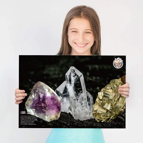 Vista 7 de Kit de 12 excavaciones naturales de roca y minerales, juguete educativo STEM para niños, piedras preciosas mineras, rocas y minerales, recuerdos