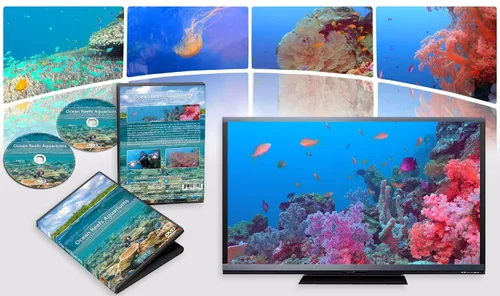 Vista 9 de Nature and Oceans Dvd - 2 DVD Set Ocean Reef Aquarium - A Relaxing Virtual Experience In Underwater World