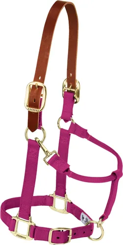 Vista 21 de Weaver Equine Breakaway Horse Halter, Supple Leather Crown, Adjustable Brass Throat Snap Halters for Horses, Equine Tack