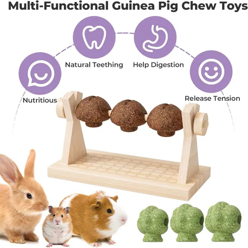 Vista 4 de mini&moe Juguetes masticables de hámster para dientes – Cuinea Pig, masticables y golosinas naturales para enriquecimiento de hámsters, mejoran