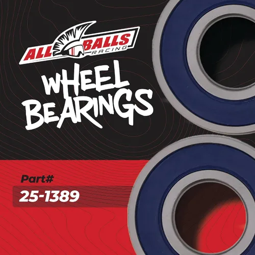 Vista 2 de All Balls Racing 25-1389 Kit de rodamientos de rueda compatible con/reemplazo para Kawasaki Triumph