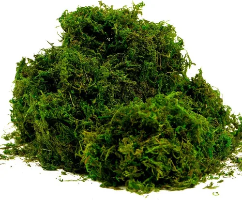 Vista 7 de Hierba artificial de musgo verde falsa para centros de mesa, decoración del hogar, la cocina y el jardín (3.5OZ, fresca)
