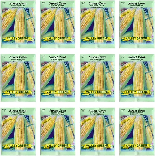 Vista 11 de Juego de 12 paquetes de semillas de verduras de roqueta de rúcula, crea un jardín de lujo, todas las semillas son reliquias, 100% sin OMG