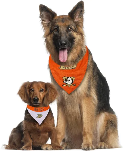 Vista 5 de Bandana de Pets First