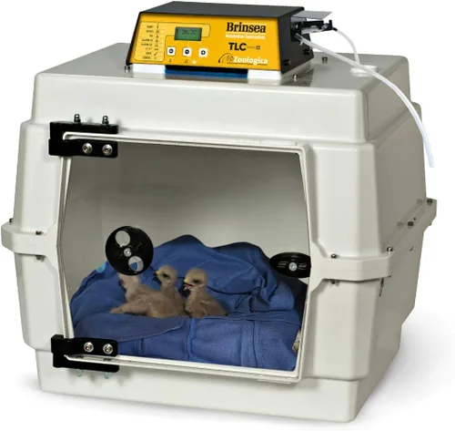 Vista 13 de Brinsea TLC-50 Zoologica II - Incubadora grande de cría de aves y recuperación de mascotas con control de humedad para animales enfermos, ideal