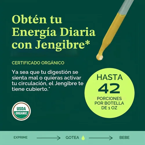 Vista 2 de Herb Pharm Extracto líquido de jengibre: Suplemento orgánico para la digestión, apoyo ocasional de náuseas, líquido de jengibre de absorción rápida
