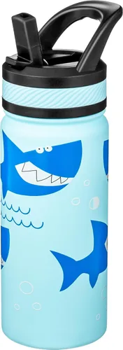 Vista 28 de Fanhaw Botella de Agua Aislada para Niños de 18 Oz con Tapa de Pajita – Acero Inoxidable de Doble Pared al Vacío, A Prueba de Fugas, Botellas