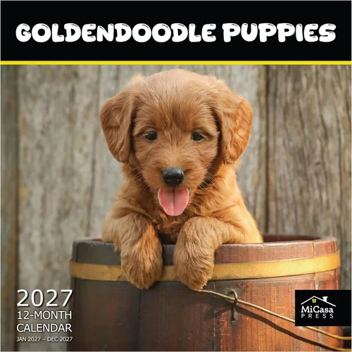 Vista 66 de MICASA PRESS Calendario de pared de Australian Shepherds Aussies 2027 02 - Pastores australianos
