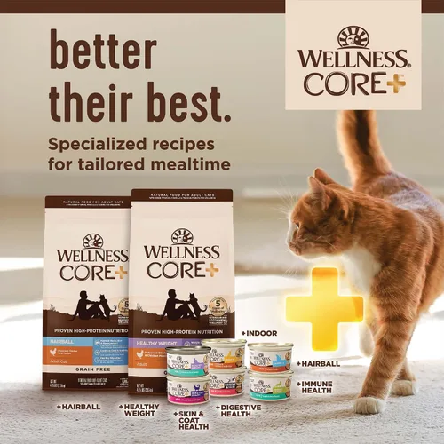 Vista 8 de Wellness CORE+ - Alimento seco para gatos adultos para interiores y exteriores, granos integrales, natural, salud digestiva con pollo y arroz