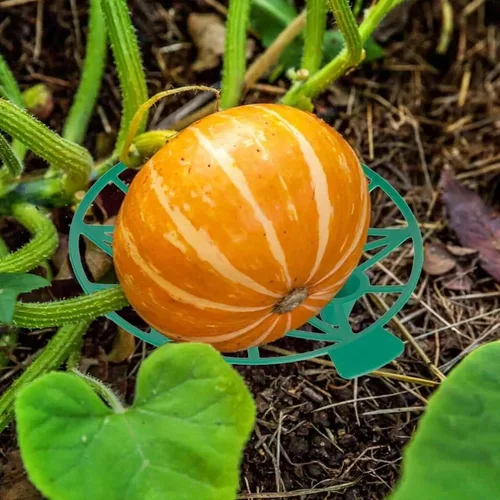 Vista 6 de Soporte de melón, calabaza, soporte de sandía, enrejado, calabaza o calabaza, soportes de plantas y verduras de jardín para melón, melón, calabazas