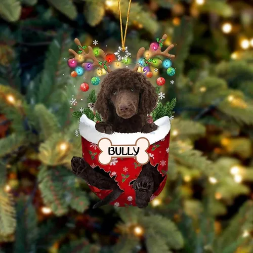 Vista 198 de IZI POD Affenpinscher Adorno de Navidad personalizado para perro, adorno de bolsillo de nieve para perro para árbol de Navidad, adorno acrílico
