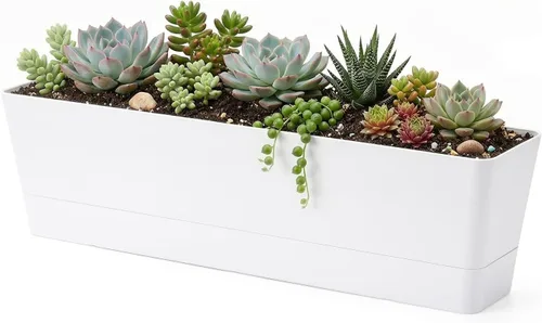 Vista 8 de GREANER - Maceta con bandeja para hierbas, 1 unidad, 12 x 3.8 pulgadas, caja rectangular para ventana, para flores o suculentas en interiores