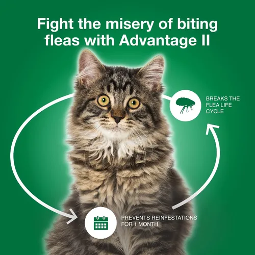 Vista 5 de Advantage II Tratamiento y prevención de pulgas recomendado por veterinarios para gatos grandes Gatos de más de 9 libras Suministro para 3 meses
