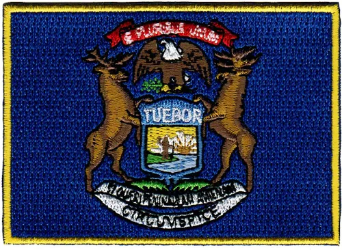 Vista 54 de Parche Bordado de la Bandera del Estado de Minnesota, Emblema MN, Planchado, Versión 2024