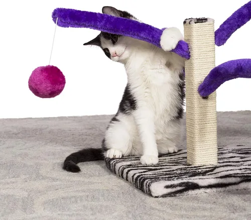 Vista 3 de Prevue Pet Products Kitty Power Bounce 'n Spring Rascador de muebles – Torre rascador para gatos de interior con juguetes, poste vertical