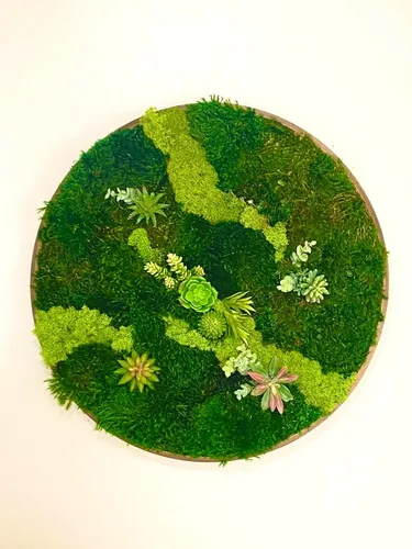Vista 7 de Luxury Round Framed with Light Green Moss Art Luxury Vertical Garden Wall Designed Home Decor Office Commercial