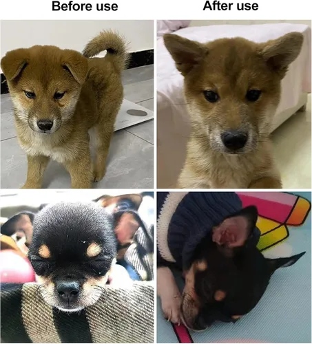 Vista 8 de 1 par de parches de soporte para orejas de perro, calcomanías de soporte para orejas de perro, herramienta de soporte para orejas de perro, soporte