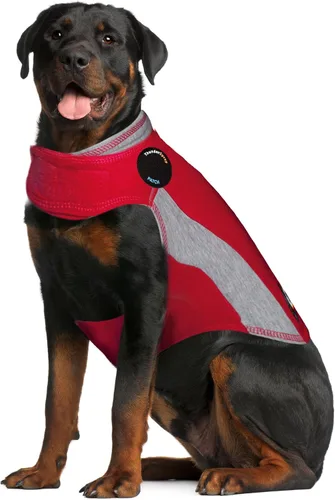 Vista 27 de ThunderShirt para perros - Chaleco de ansiedad para perros